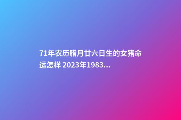 71年农历腊月廿六日生的女猪命运怎样 2023年1983年农历5月19日属猪的运势？-第1张-观点-玄机派